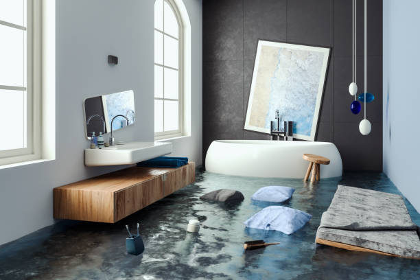 Best Water damage cleanup near me  in Pilot Point, TX
