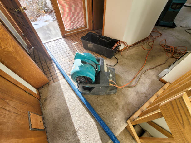 Best Emergency water extraction  in Pilot Point, TX