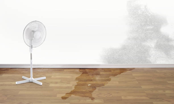  Pilot Point, TX Water damage restoration Pros