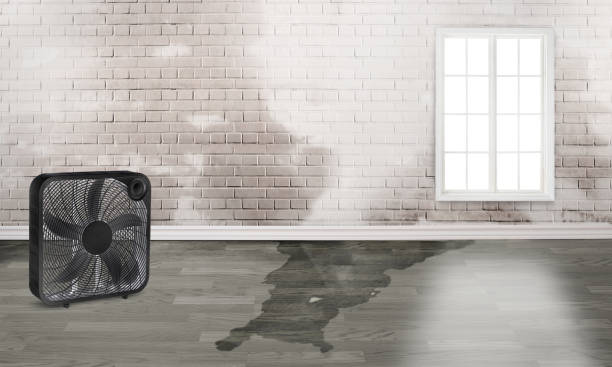 Best Emergency water damage restoration  in Pilot Point, TX