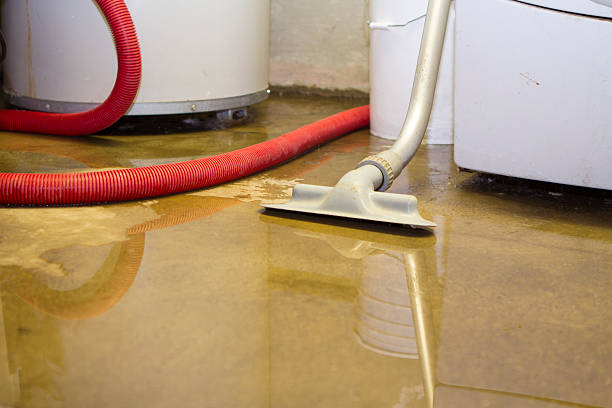 Best Water damage restoration process  in Pilot Point, TX