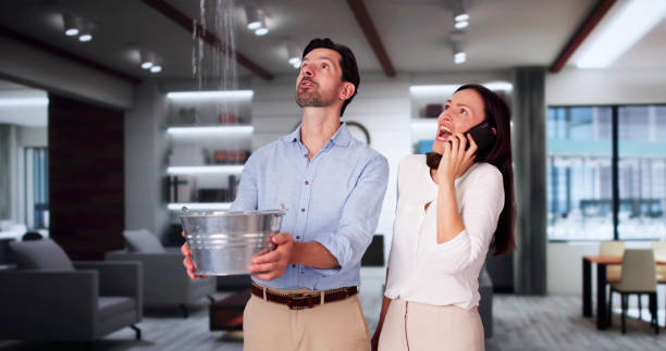 Best Professional water damage repair  in Pilot Point, TX